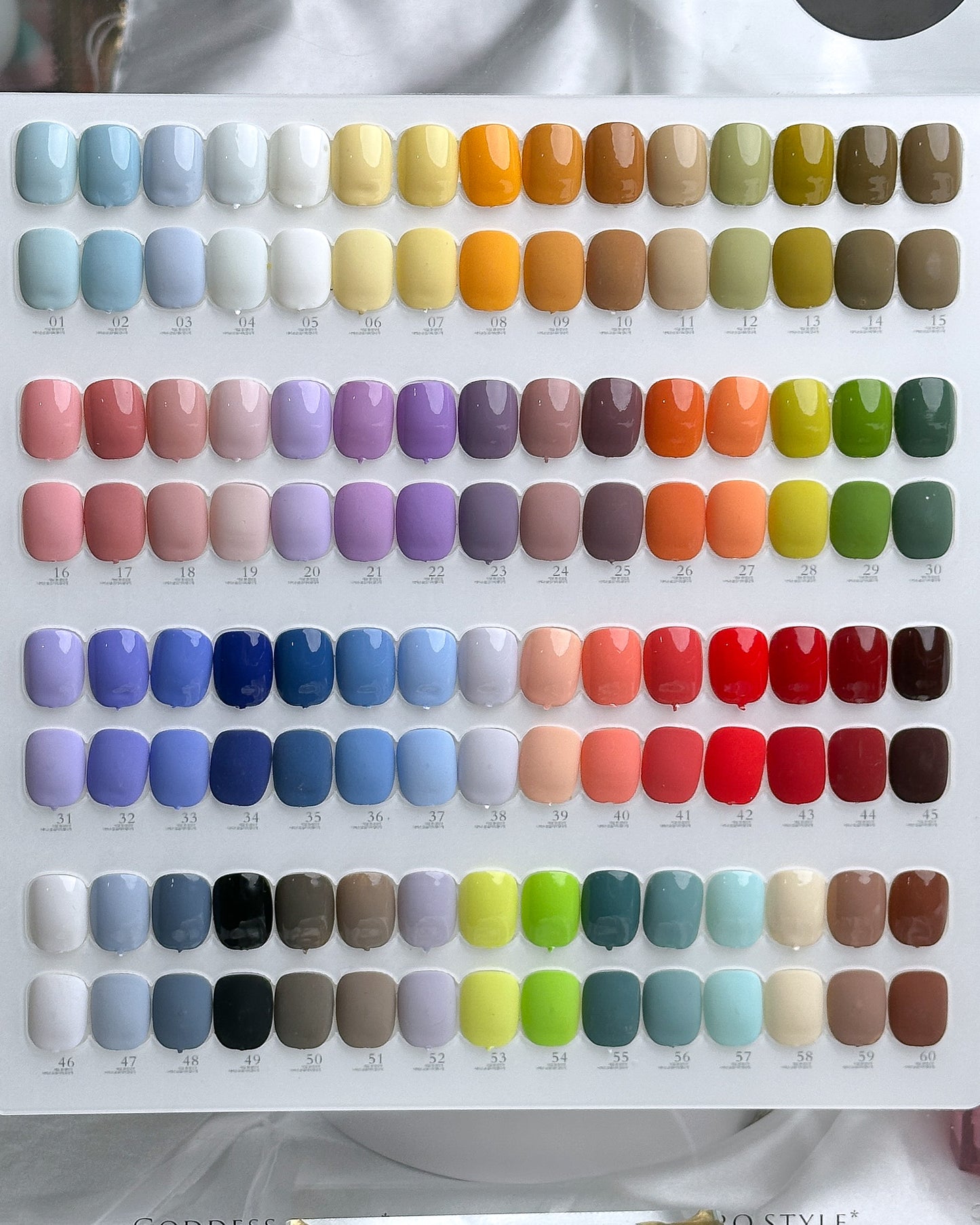 Solid Color